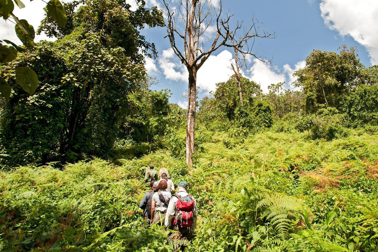 Mikumi & Udzungwa: 4-Day Safari from Zanzibar of Daressalaam Depart from Dar es salaam