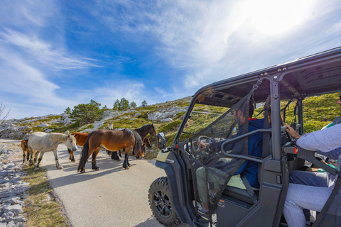 Makarska: Baggy Skywalk & Biokovo Viewpoint Tour Makarska: Baggy Skywalk & Biokovo Viewpoint Tour