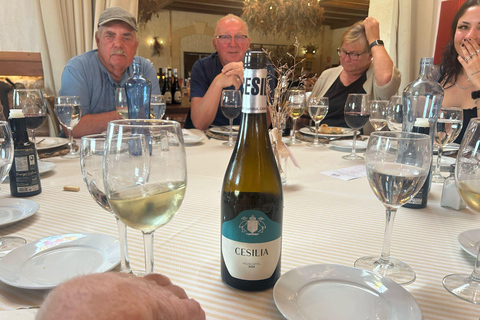 Alicante: Tour de vinhos e almoço com visita a uma adega e Novelda