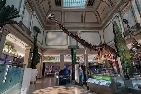 Kombi-Führung durch das Museum für amerikanische Geschichte und Naturkunde