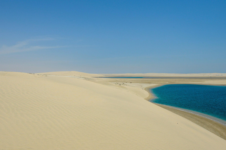 Da Doha: Safari nel mare e nel deserto con corsa sulle dune in 4x4