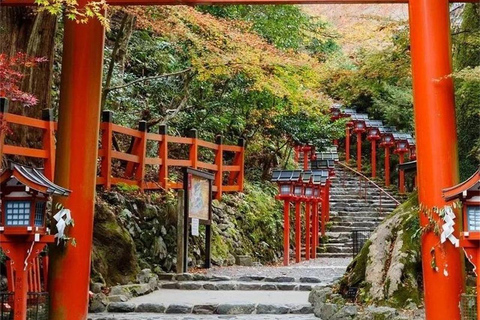 Osaka: Kyoto Private Day Tour with Sagano Scenic Railway Private Car Package