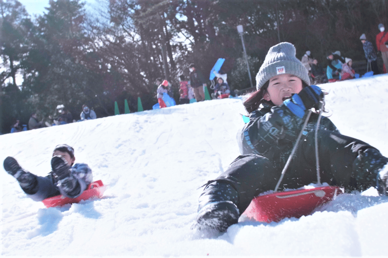 Osaka: Rokko Snow Park – wycieczka 1-dniowa z opcjonalną lekcją jazdy na nartachD (SANKI)