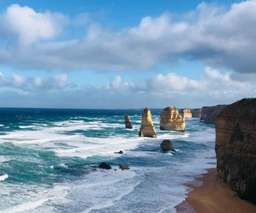 Melbourne: Tour della Great Ocean Road con tè mattutino