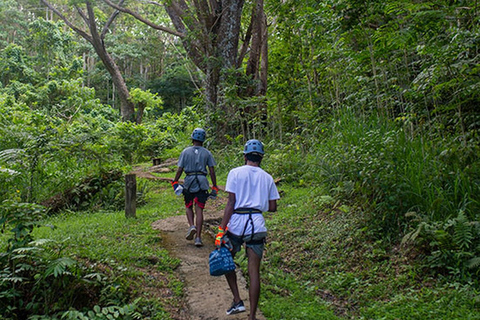 Trekking alle cascate, safari nella giungla, zipline, piscina di fango, tour alle sorgenti termali.Solo quote di ingresso