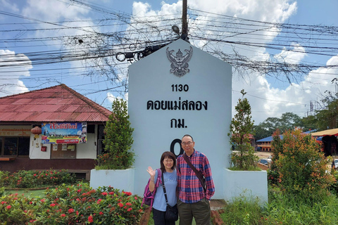 Chiang Rai: Mountains Discovery Doi Mae Salong & Doi Tung Mountains Discovery:Doi Mae Salong & Doi Tung (Private Tour)