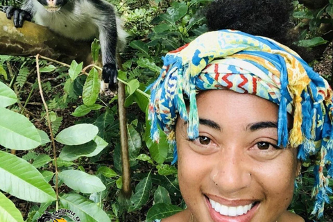 Błękitna Laguna, rozgwiazdy, żółwie, las Jozani i SkałaTransport hotelowy w regionie południowym