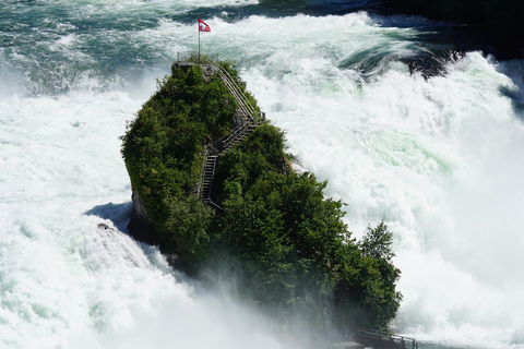 Zürich/Lucerne : Excursion d&#039;une journée aux chutes du Rhin, au Titisee et en Forêt-Noire