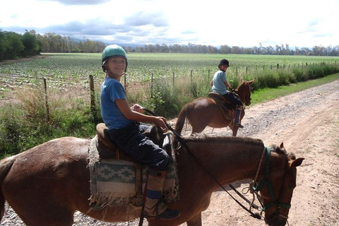 Salta: Full-Day Horseback Ride with BBQ and Snacks Salta: Full-Day Horseback Ride with Mountain Picnic