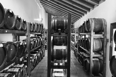 Balsamic Vinegar, Wine Tasting & Tour near Parma & Reggio Balsamic Vinegar & Wine Tasting in Reggio Emilia - Italiano