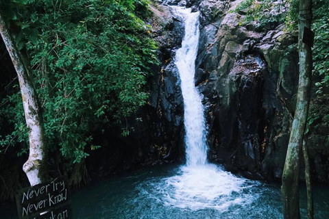 Munduk/Lovina: Wasserfall, Schnorcheln & DelfinbeobachtungstourStandard Tour mit Hoteltransfer von Munduk/Lovina