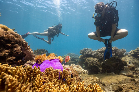 Visita às ilhas Cham e mergulho com snorkel e autônomoExcursão em grupo