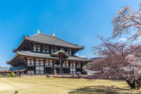 Osaka/Kyoto: Passeio em pequenos grupos pelo Património Mundial da UNESCO de Quioto e NaraPartida de Quioto