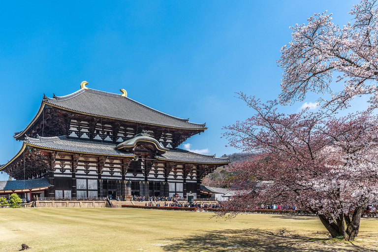 Osaka/Kyoto: Passeio em pequenos grupos pelo Património Mundial da UNESCO de Quioto e NaraPartida de Quioto