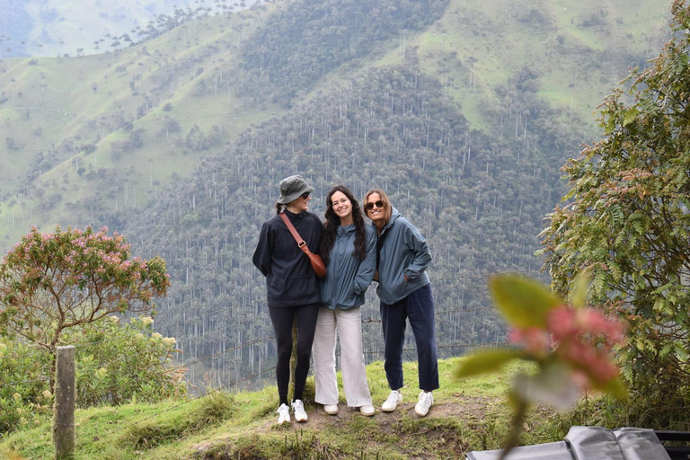 La Carbonera Adventure: Hiking & Horseback Riding in the Andean Palm Forest Salento: Tour to La Carbonera and the wax palm forest