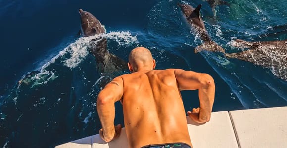 Benalmádena: Private Catamaran Cruise with Dolphin Watching
