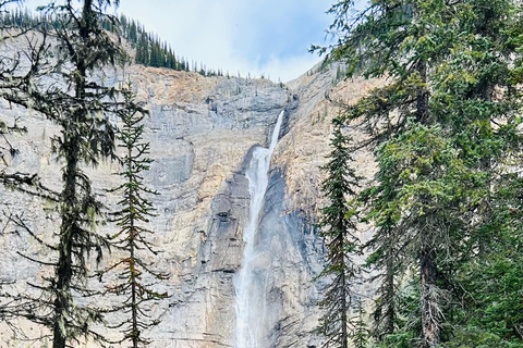 Banff/Calgary: Tour privato dei parchi nazionali di Banff e YohoDa Calgary