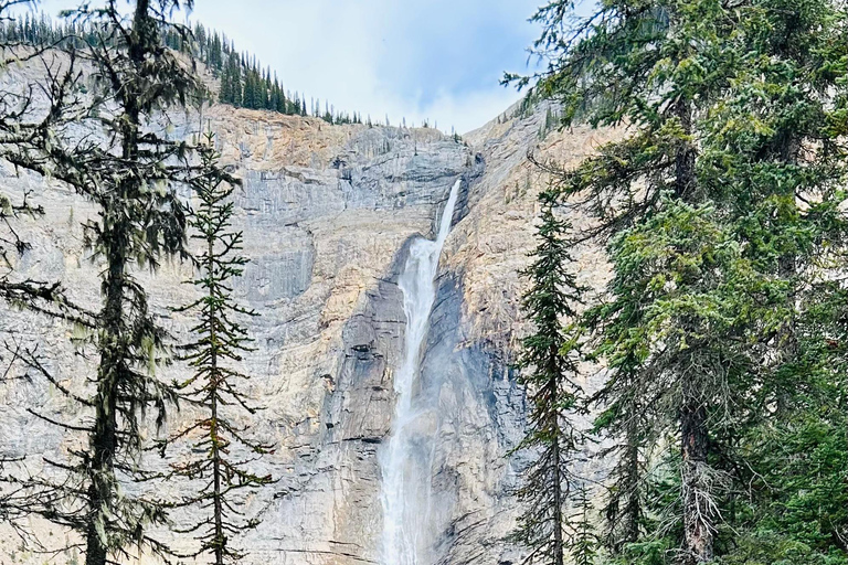 Banff/Calgary: Tour privado de los Parques Nacionales de Banff y YohoDesde Calgary