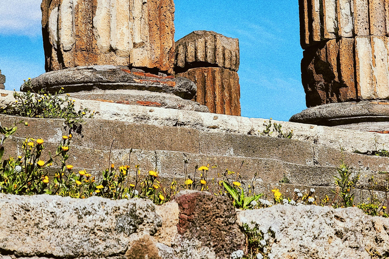 Naples: Pompeii & Herculaneum Shared Regular Group Tour
