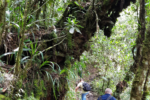San Pedro Sula: Azul Meámbar National Park Day Trip