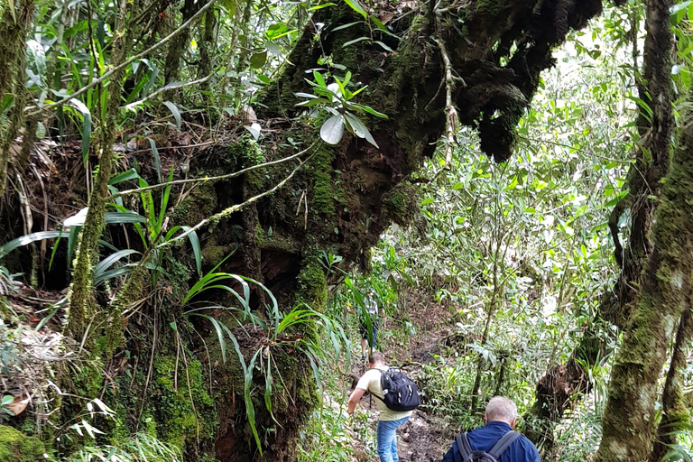 San Pedro Sula: Azul Meámbar National Park Day Trip