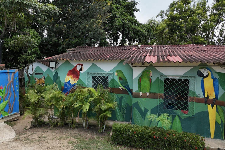 UTV & Horseback Tour with Wildlife Views from Cartagena