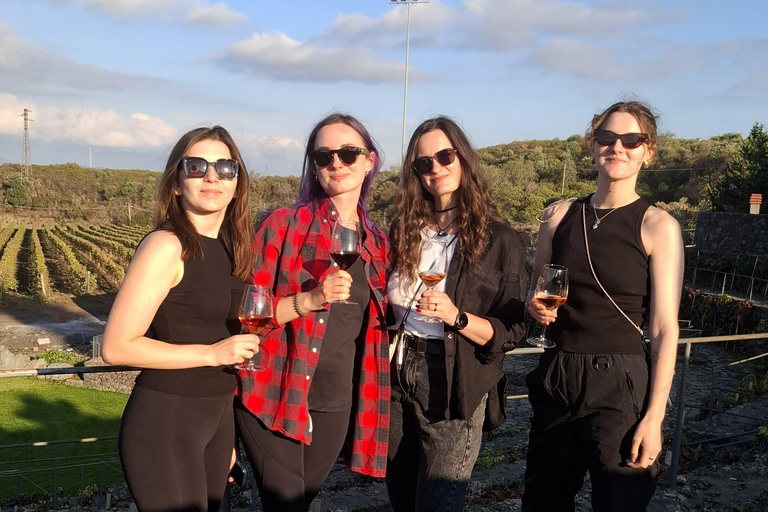 From Catania: Etna Trekking & Wine Tasting Tour with Pickup