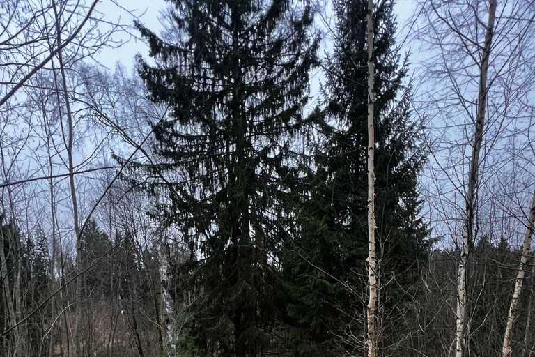 Riga : Randonnée avec des huskys sur le sentier de la nature