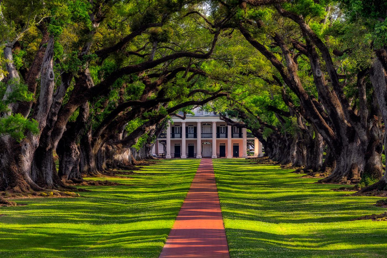 Bayous And Byways, Oak Alley Plantation And Kayak Swamp Tour