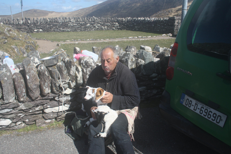 Killarney: Ring of Kerry Bus Tour