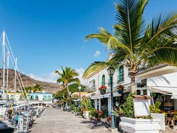 From Las Palmas: Highlights of Gran Canaria Day Tour