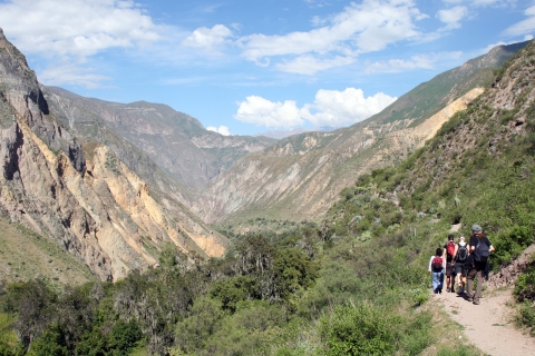 From Arequipa: 2-Day Colca Canyon Tour with Transfer to Puno Tour without Lunch and Entrance Fees