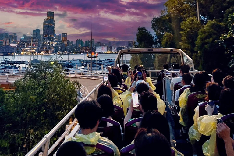 From Shenzhen: Hong Kong Heritage, Skyline & Harbour View Guide for other languages