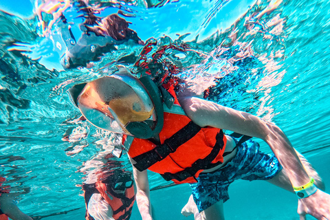 Akumal: Sea Turtles Snorkeling Tour with Park Entry Fee