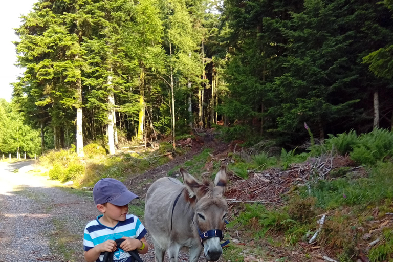 Luvigny: an unusual getaway with donkeys and goats