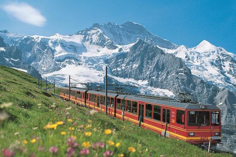 De Zurique: Excursão guiada de um dia a Jungfraujoch com o trem Cogway