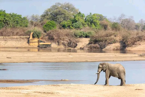 Parc national de Tsavo Est : safari de 3 jours avec hébergement