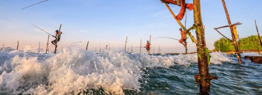 Visite d'une journée à Galle depuis Colombo, Bentota et Kalutara