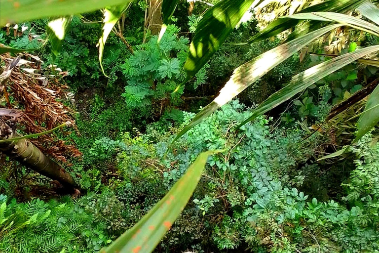 UNESCO Kitul Production Program Tour in a Kandy Village