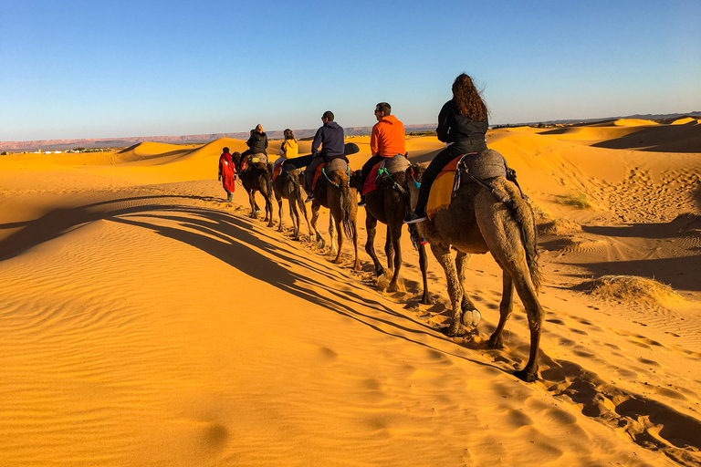 Agadir ou Taghazout : Visite guidée de 2 jours dans le désert de Zagora