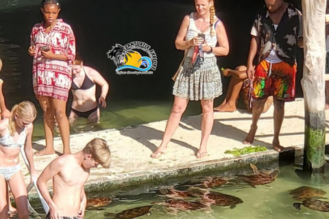 Nungwi: Swimming with Turtles at The Lagoons Zanzibar Hotel Transfers within Nungwi and Kendwa