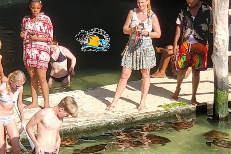 Nungwi: Swimming with Turtles at The Lagoons Zanzibar Hotel Transfers within Nungwi and Kendwa