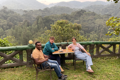 Entebbe: 4-Day Gorilla and Chimpanzee Trekking Tour