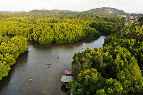 Negombo: Guided Kayaking Tour in the Lagoon