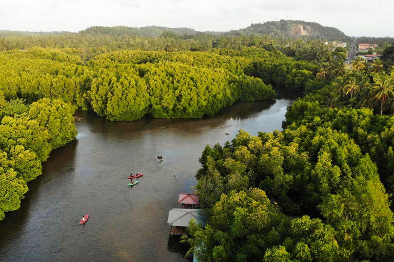 Negombo: Guided Kayaking Tour in the Lagoon