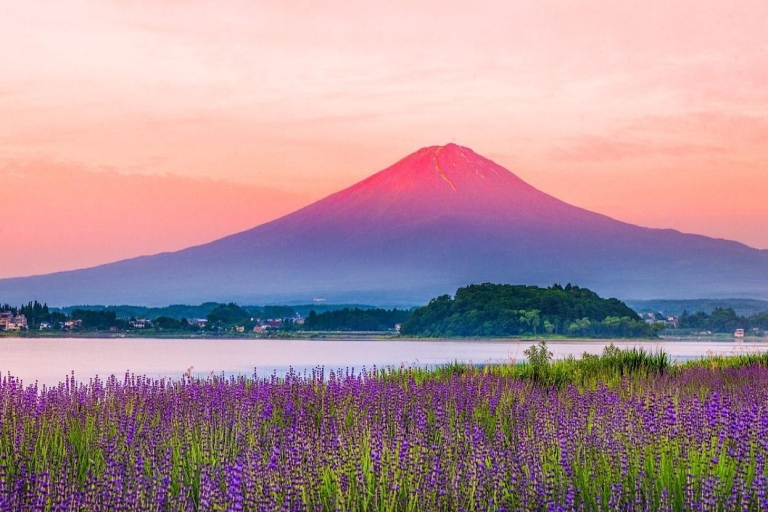 Visite guidée privée du Mont Fuji et de Hakone
