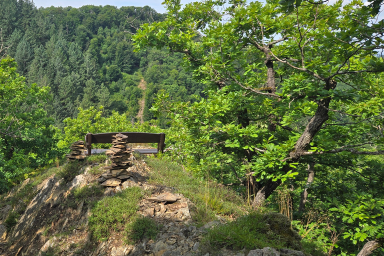 Boppard: geführte Wanderung auf der Traumschleife "Hasenkammer"