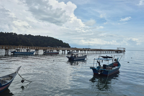 Penang Private Tour ~ Magical Nature, Heritage & Street Art