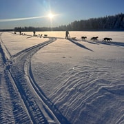 Luleå: Husky, Snowmobile & Fishing Tour with Meal