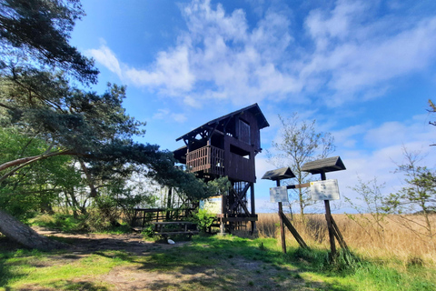 Explore a ilha de Sobieszewo: Caminhada pela natureza e excursão a pé pela vida selvagem